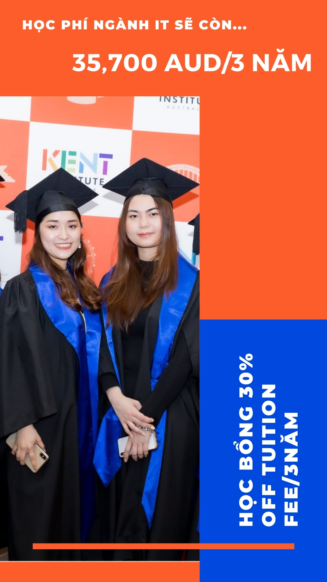 Scholarship 30% - IT