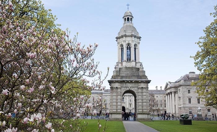 Đại học Dublin