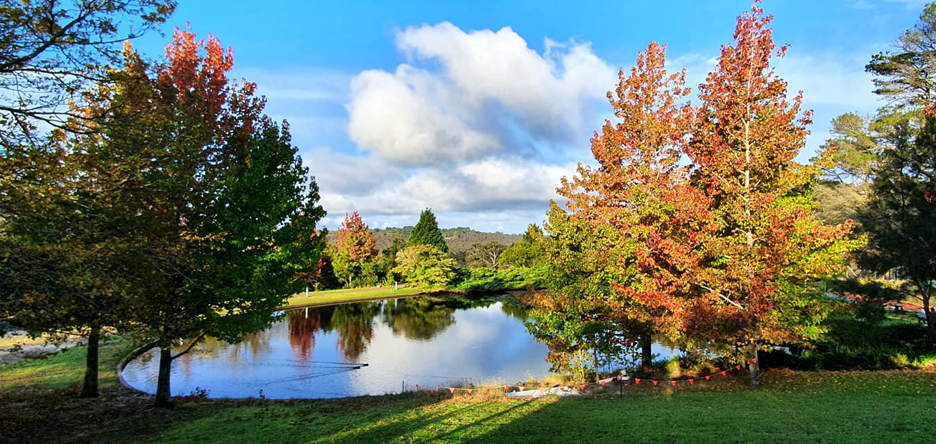 blue mount vào mùa thu 4