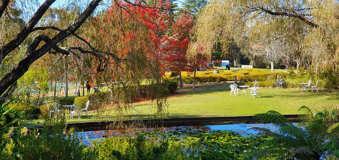 blue mount vào mùa thu 6