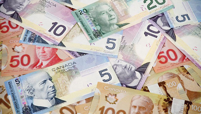 lam them o canada co tra duoc hoc phi khong