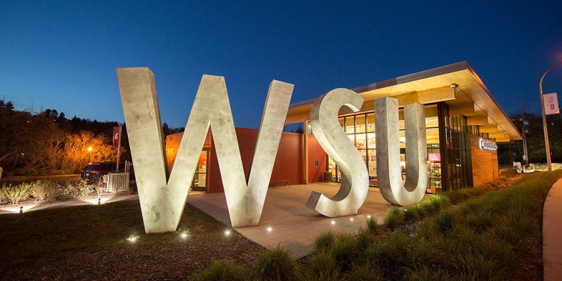 Washington State University