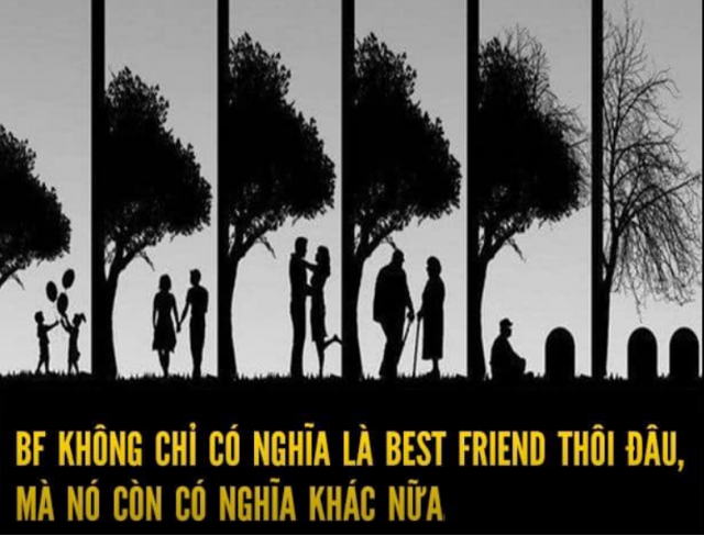 BF trong tiếng anh